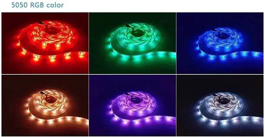 LED Strip Lights 5050 RGB LED Lights Waterproof Flexible Lamp Tape Ribbon Luces Smart Led Lighting Room Decoration EU Plug - HortonBe