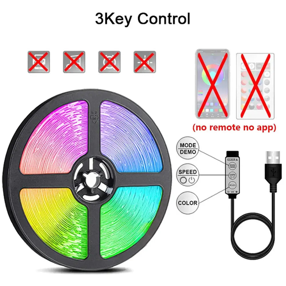 LED Strip RGBIC 5050 WS2812b Bluetooth App Control Chasing Effect Lights Flexible Tape Diode Ribbon TV BackLight Room Decorate - HortonBe