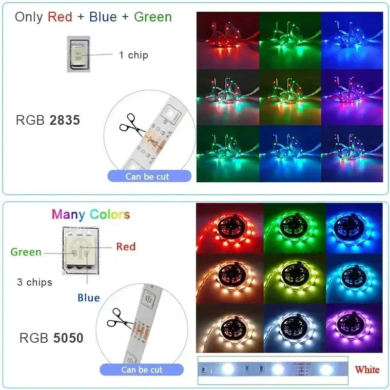 LED Strip Lights 5050 RGB LED Lights Waterproof Flexible Lamp Tape Ribbon Luces Smart Led Lighting Room Decoration EU Plug - HortonBe