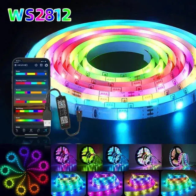 LED Strip RGBIC 5050 WS2812b Bluetooth App Control Chasing Effect Lights Flexible Tape Diode Ribbon TV BackLight Room Decorate - HortonBe